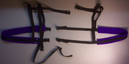 Black Harness w/ Purple Padding